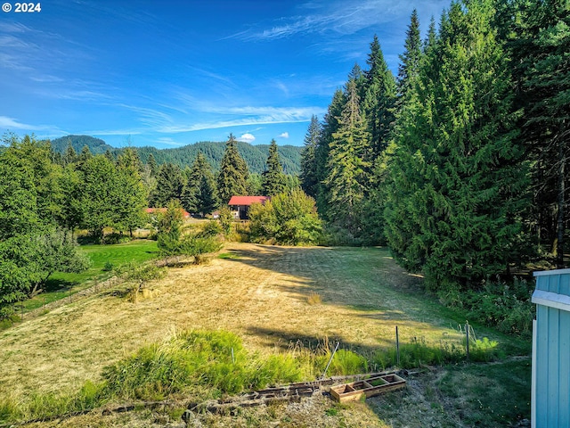 view of yard featuring a mountain view