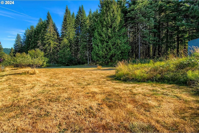 42 Fellers Rd, Carson, WA 98610 - view of yard with a wooded view