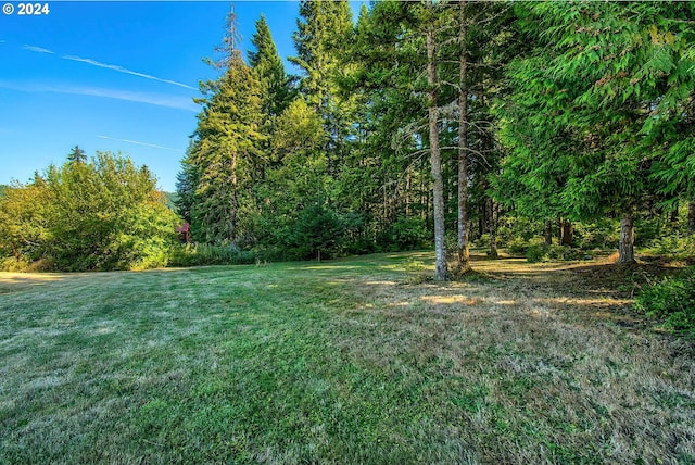 42 Fellers Rd, Carson, WA 98610 - view of yard featuring a wooded view