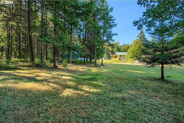 42 Fellers Rd, Carson, WA 98610 - view of yard