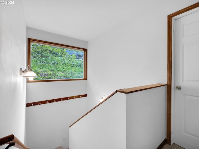 stairs with carpet flooring