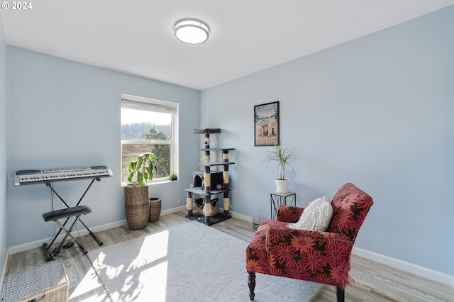 living area featuring light hardwood / wood-style flooring