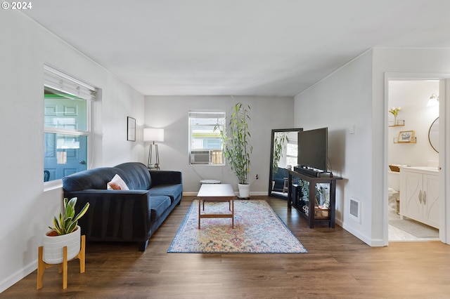 living room featuring wood-type flooring