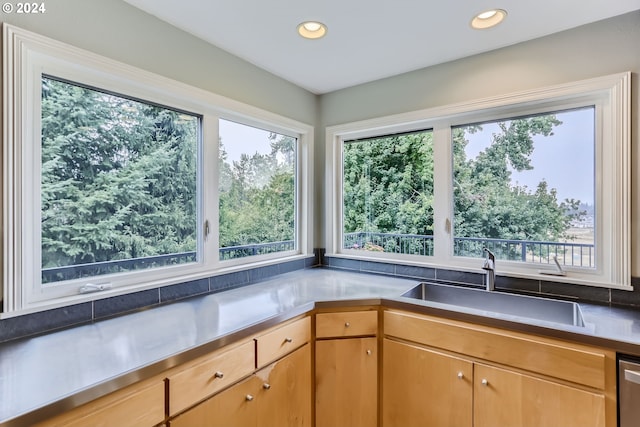 kitchen with dishwasher, plenty of natural light, and sink