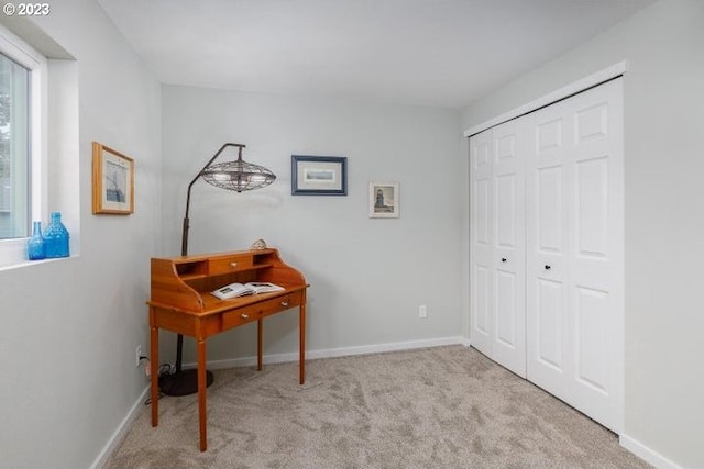 interior space with light carpet