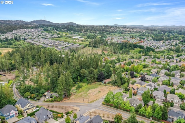 birds eye view of property featuring a mountain view