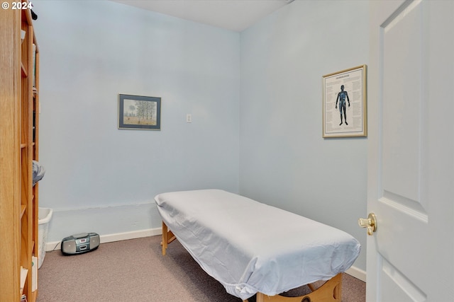 bedroom featuring carpet flooring