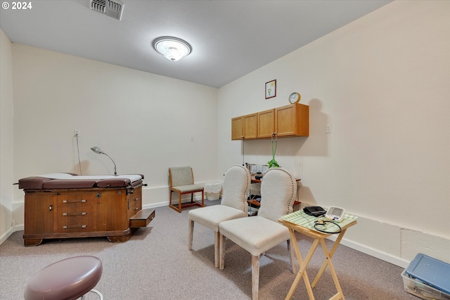 sitting room featuring light carpet