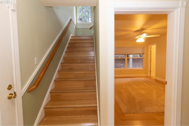 staircase with hardwood / wood-style flooring and ceiling fan