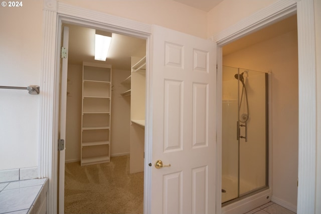 spacious closet featuring light carpet