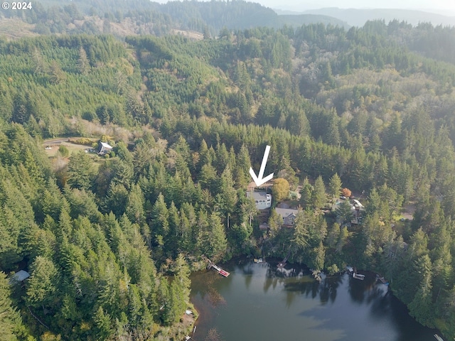 88378 Collard Lake Rd, Florence, OR 97439 - aerial overview of property's location with a forest and a large body of water
