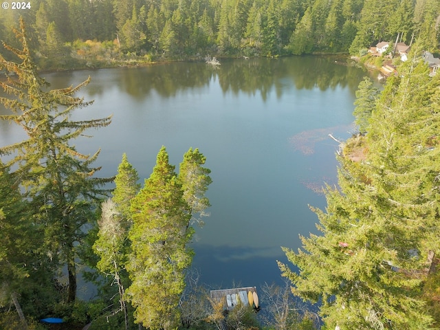 88378 Collard Lake Rd, Florence, OR 97439 - water view featuring a forest