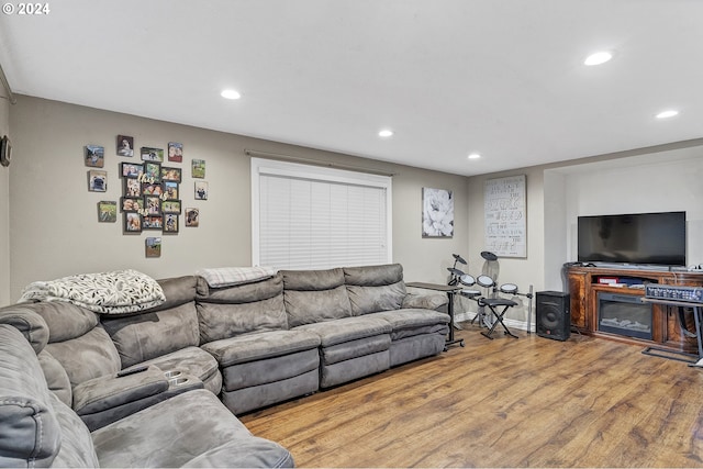 living room featuring hardwood / wood-style floors