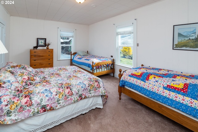 carpeted bedroom with multiple windows