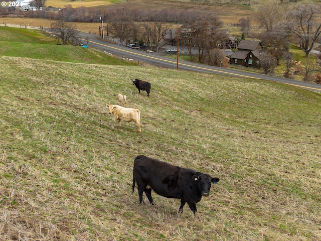 view of yard with a rural view