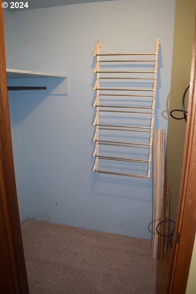 spacious closet with carpet