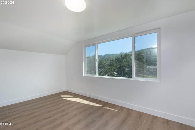 bonus room featuring vaulted ceiling and hardwood / wood-style floors