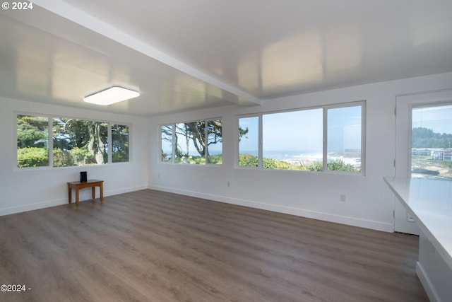 unfurnished sunroom with a wealth of natural light