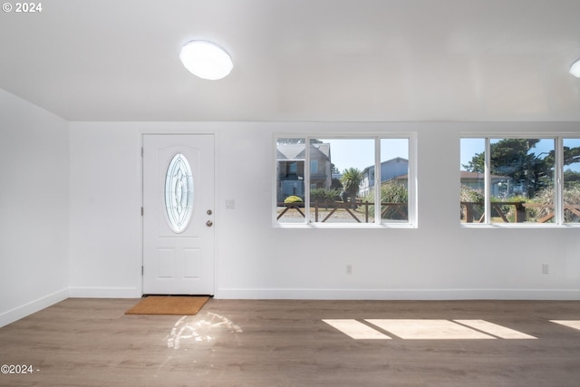 entrance foyer with dark hardwood / wood-style floors