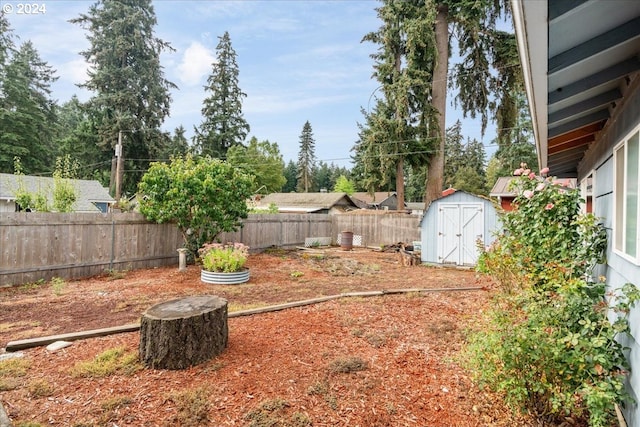 view of yard featuring a storage unit