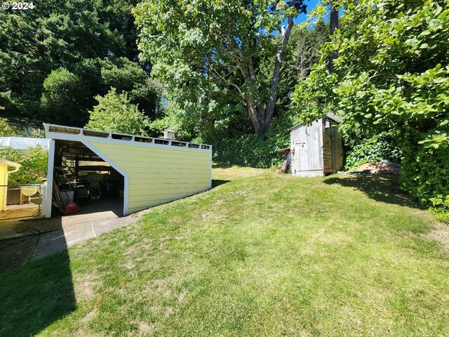 view of yard with a storage unit