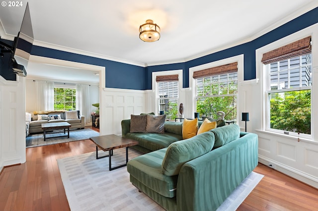 living room with crown molding and wood-type flooring