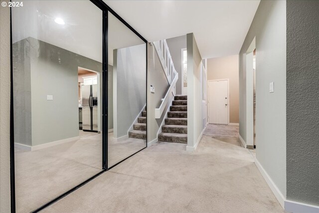 stairway featuring carpet flooring