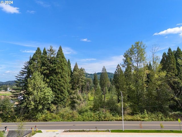 0 172nd Ave, Happy Valley OR, 97086 land for sale