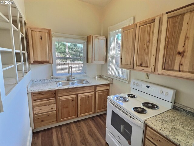 kitchen featuring dark wood-type flooring, plenty of natural light, white range with electric stovetop, and sink