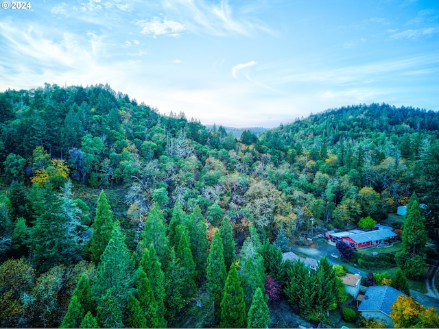0 Hill Dr, Canyonville, OR 97417