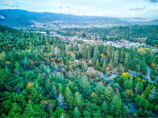 0 Hill Dr, Canyonville, OR 97417
