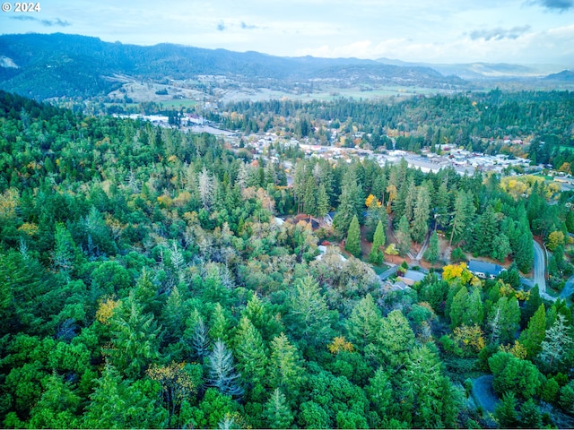 0 Hill Dr, Canyonville, OR 97417