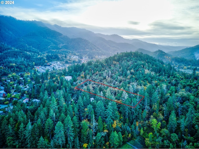 0 Hill Dr, Canyonville, OR 97417