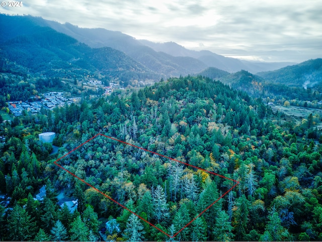 0 Hill Dr, Canyonville, OR 97417
