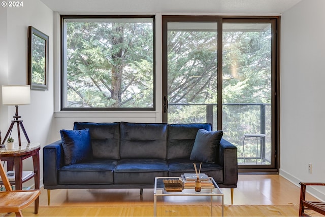 living room with wood-type flooring and plenty of natural light