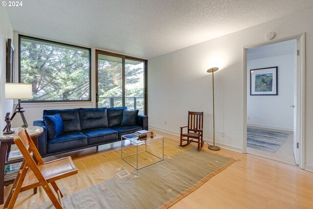 living room with a textured ceiling and hardwood / wood-style flooring