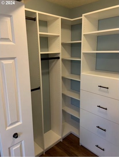 walk in closet featuring dark wood-type flooring