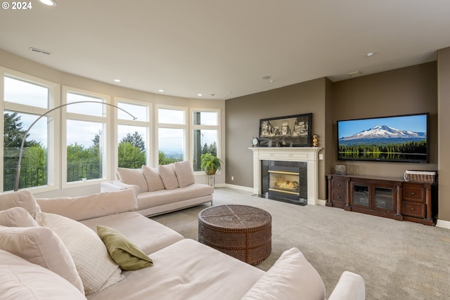 carpeted living room featuring a wealth of natural light