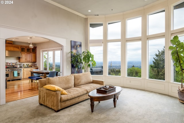 carpeted living room with a high ceiling and crown molding