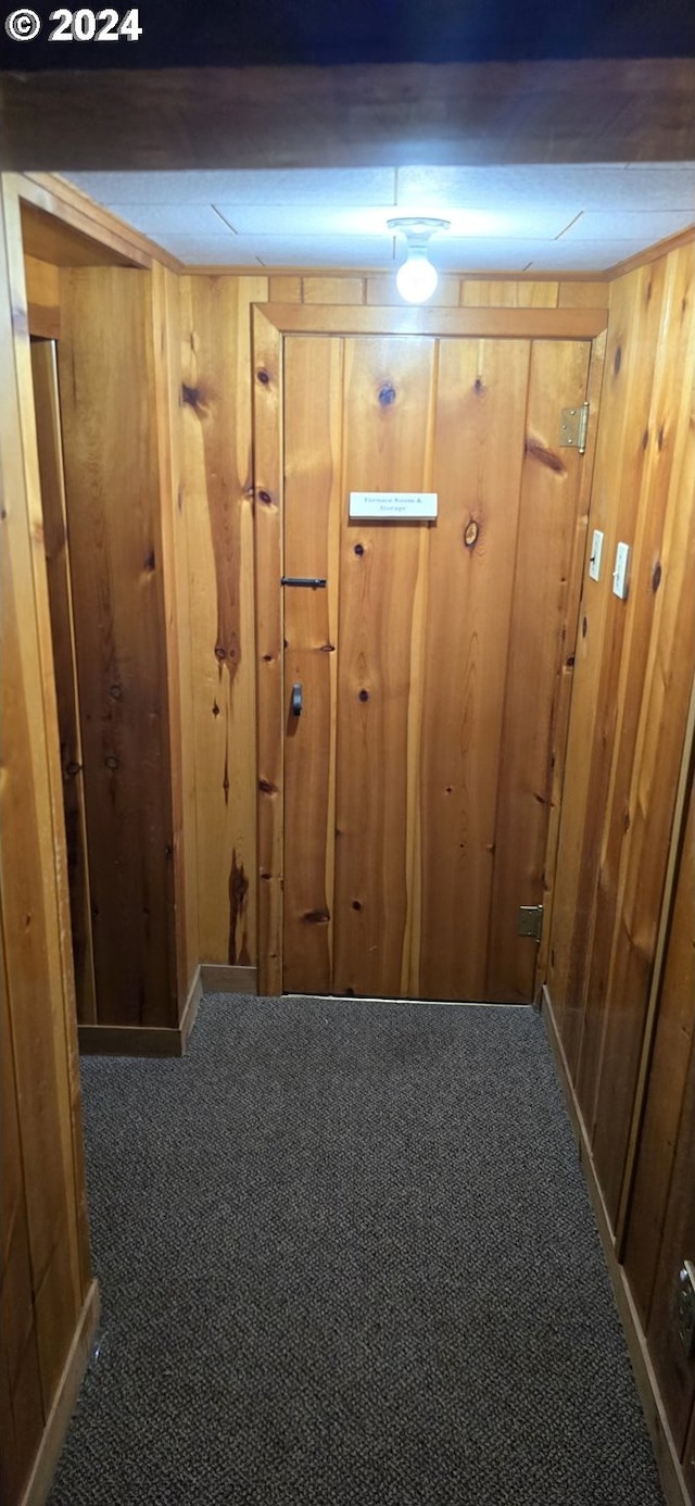 interior details featuring carpet flooring and wooden walls