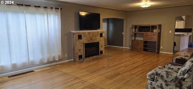 living room featuring a fireplace and wood-type flooring