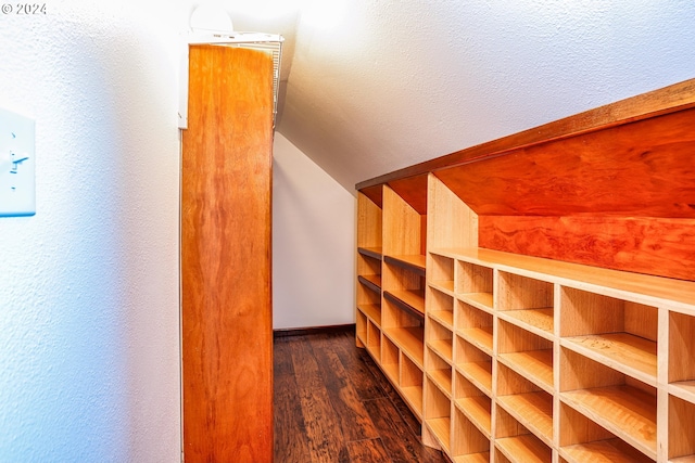 interior space featuring dark wood-type flooring