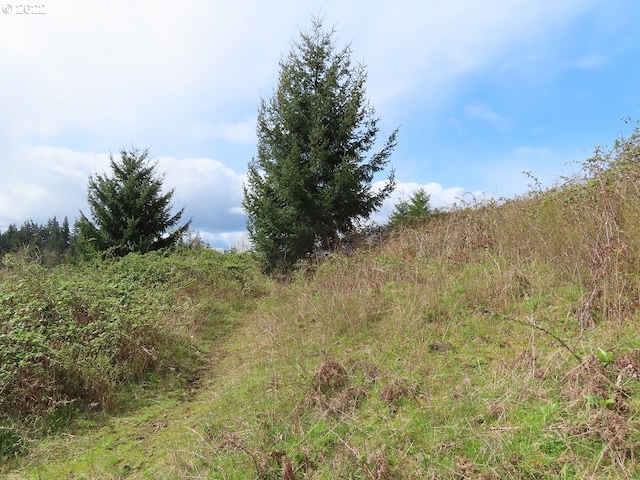 903 Confer Rd, Kalama, WA 98625
