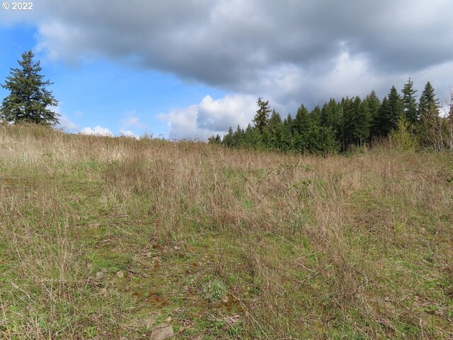 903 Confer Rd, Kalama, WA 98625