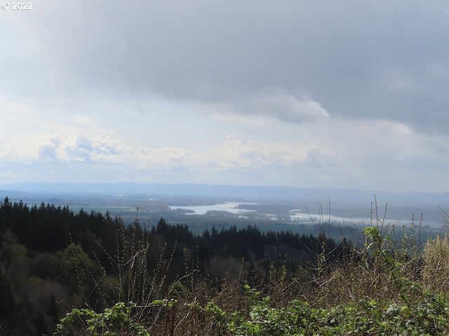 903 Confer Rd, Kalama, WA 98625