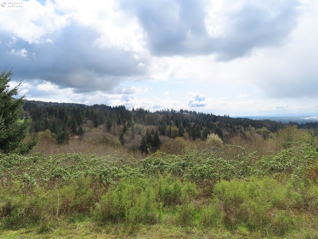 903 Confer Rd, Kalama, WA 98625