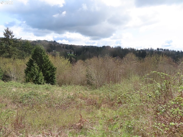 903 Confer Rd, Kalama, WA 98625
