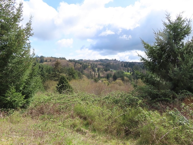 903 Confer Rd, Kalama, WA 98625