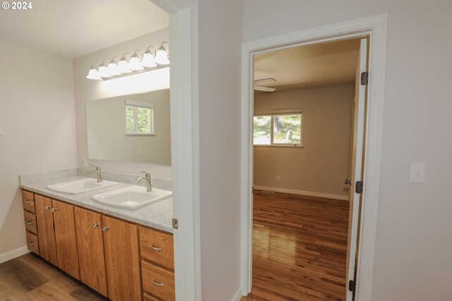 bathroom featuring hardwood / wood-style flooring and vanity