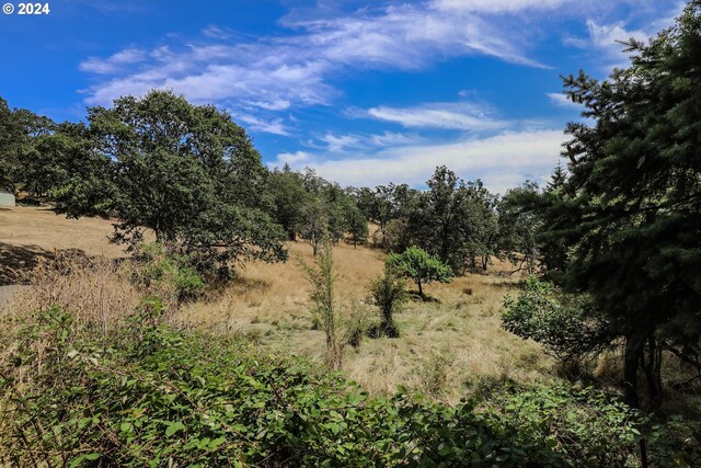 view of nature with a rural view